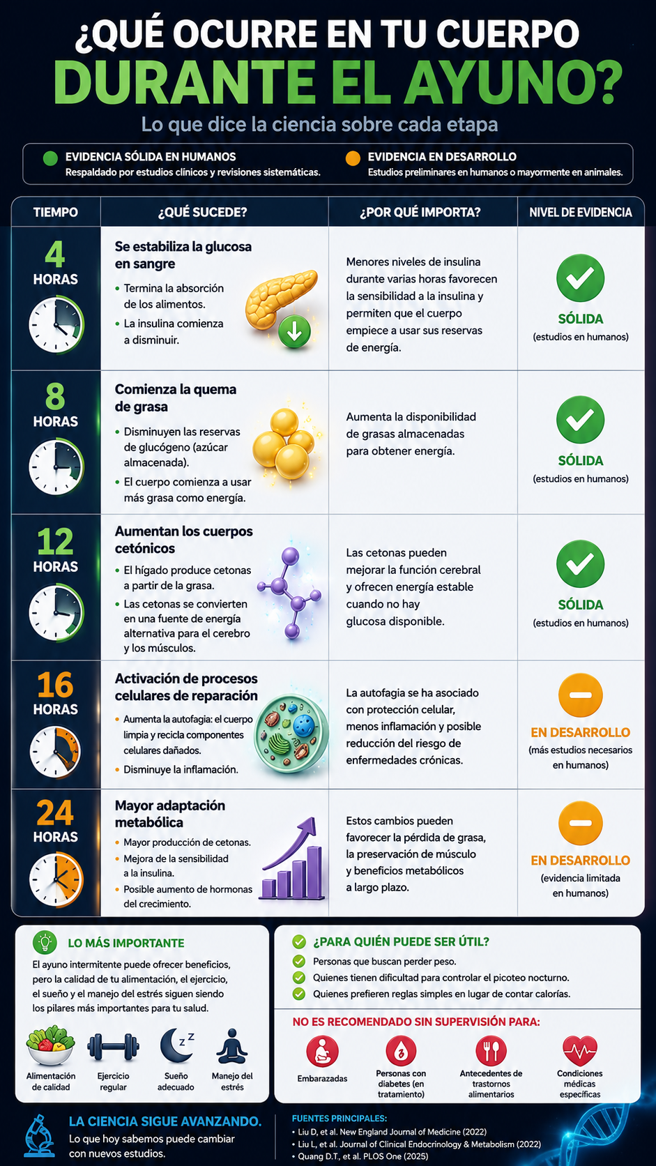 infografia-ayuno-intermitente-que-pasa-en-tu-cuerpo